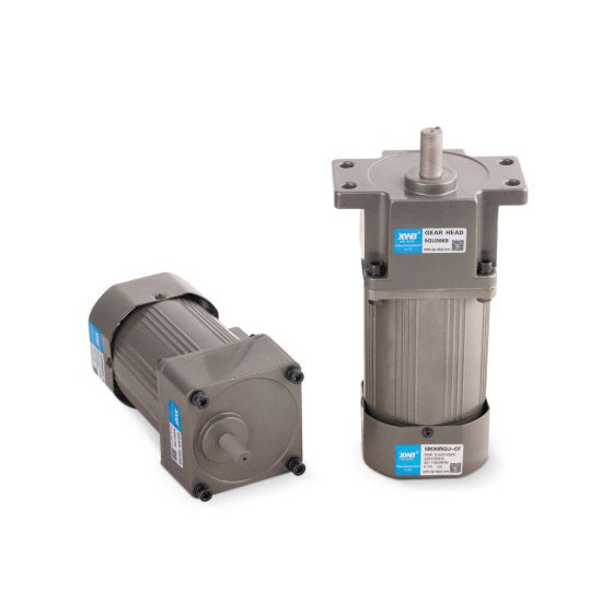 微型交流減速電機(jī)90W