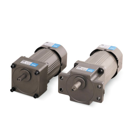 微型交流減速電機(jī)120W