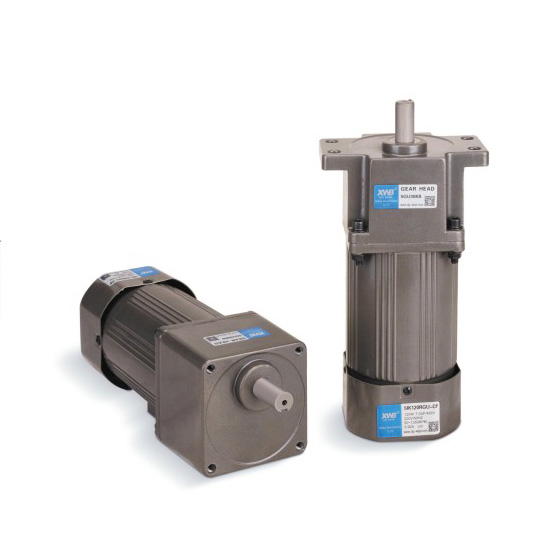 微型交流減速電機(jī)150W