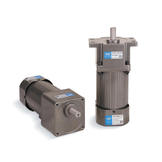 微型交流減速電機(jī)180W